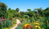 Botanical Gardens in San Miguel de Allende: A Hidden Gem