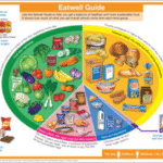 Supplements and Balanced Diet: A Key Guide for Health