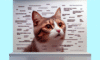 Cat Meme Strategies for Gaining Feline Internet Fame