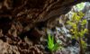 Belizean Caves: Exploring Archaeology, Climate, and Life