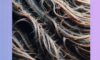Reversing Heat Damage: Top Strategies for Effective Solutions