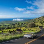 Maui Upcountry Road Trip: Discover Scenic Routes and Gems