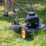 Grass Cutting Services in Montacute: Tips and Options