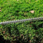 Hedge Trimming Tips for a Gorgeous Garden in West Coker