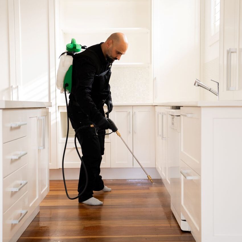 DIY Pest Control: Why Professional Solutions Outshine Sprays