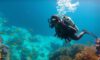 Diving Tips for the Big Blue Hole in Belize: Your Guide