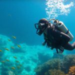 Big Blue Hole Diving: Essential Tips for Adventurers