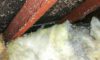 Asbestos Concerns: Essential Tips for Skip Hire Choices
