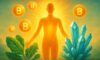 Clean Energy Supplements for Enhanced Energy Levels
