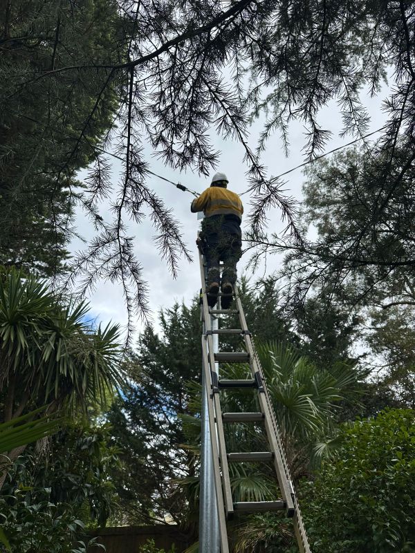 Electrical Defect Notice Response in the Mid North Coast