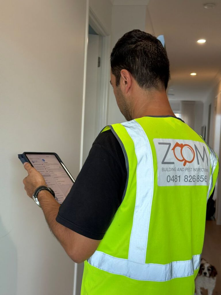 Building and Pest Inspection: Your Guide to Brisbane Services